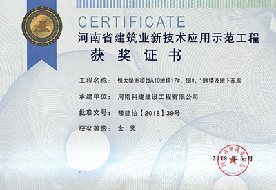 “恒大綠洲項目A10地塊17#、18#、19#樓及地下車庫工程”榮獲“河南省建筑業(yè)新技術應用示范工程”金獎